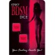 Kinky BDSM Dice Game