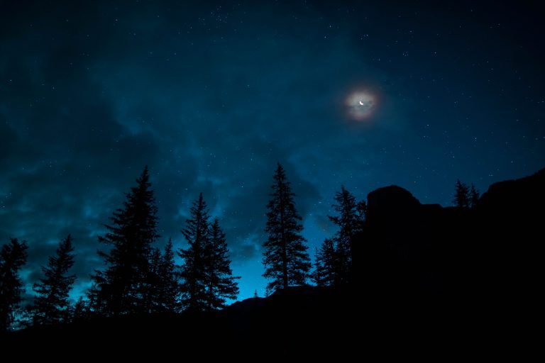 pexels-roberto-nickson-2885320